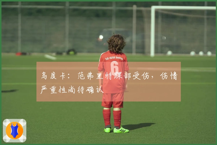 乌度卡：范弗里特踝部受伤，伤情严重性尚待确认