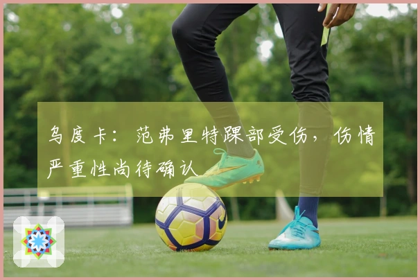 乌度卡：范弗里特踝部受伤，伤情严重性尚待确认