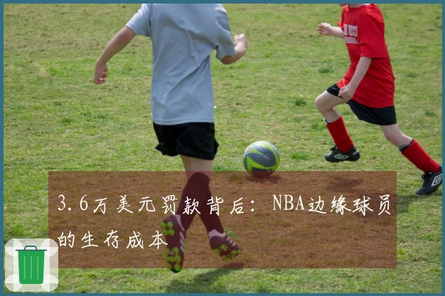 3.6万美元罚款背后：NBA边缘球员的生存成本