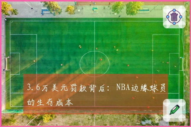 3.6万美元罚款背后：NBA边缘球员的生存成本